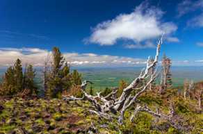 View of Wallowa valley-0070.jpg